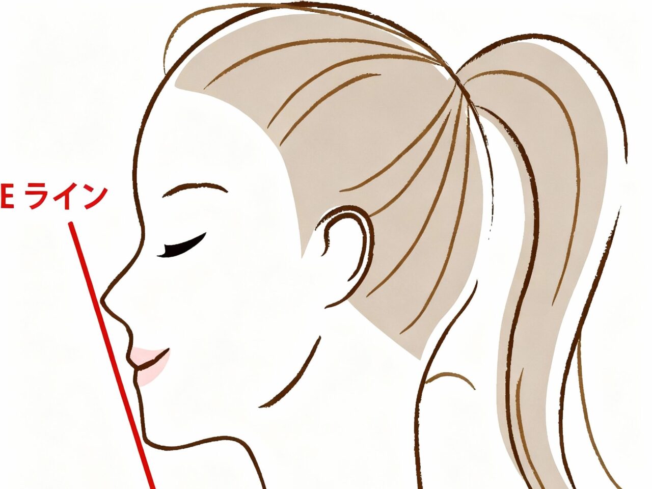 Eラインイメージ